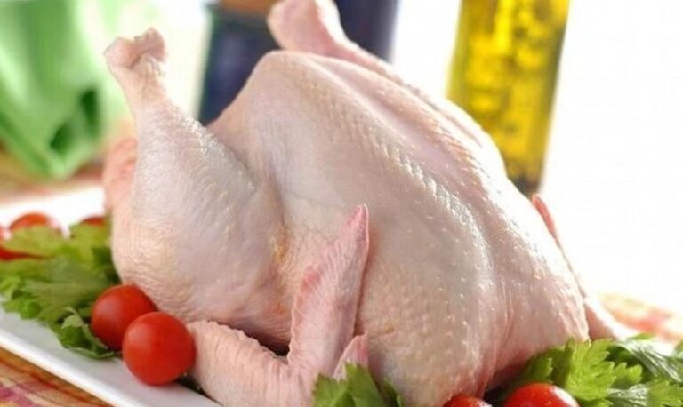 qatami_w_h-780x465 (1)