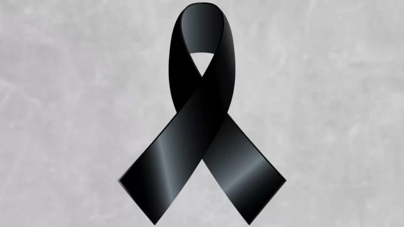 shavi-lenti_w_h-2 (1)