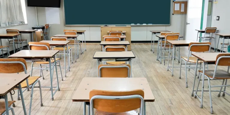 skola-1739861976 (1)