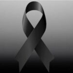 1729613032_glova_w_h (1)